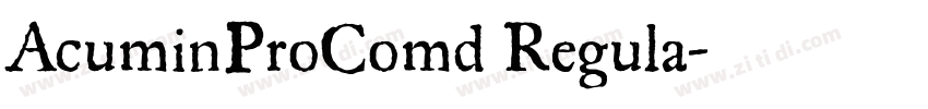 AcuminProComd Regula字体转换